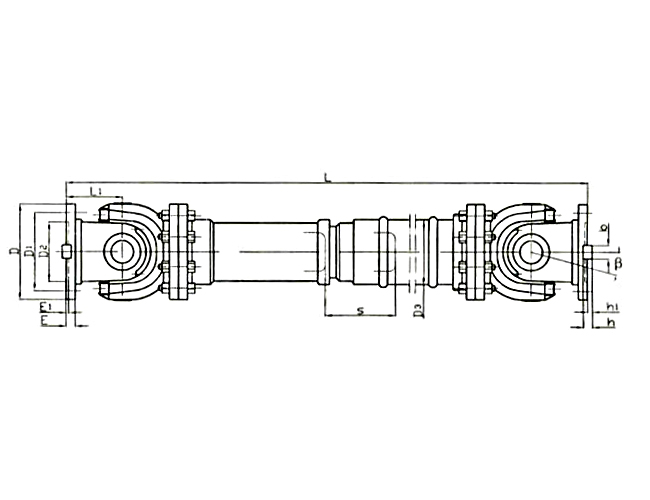 SWP-E